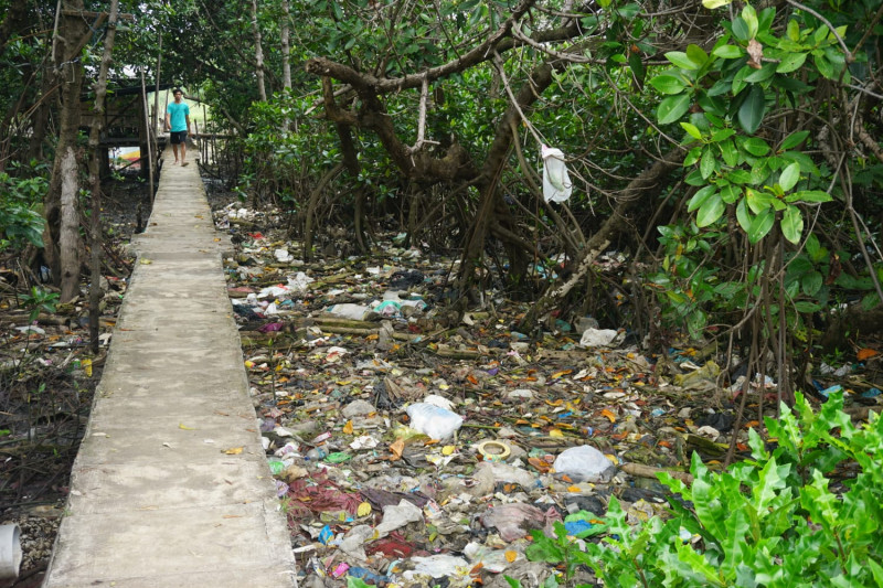 Genangan Sampah Membunuh Bibit-bibit Mangrove di Pesisir Kota Pasuruan
